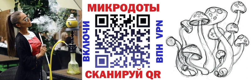 купить наркотик  Ялуторовск  Галлюциногенные грибы Cubensis 
